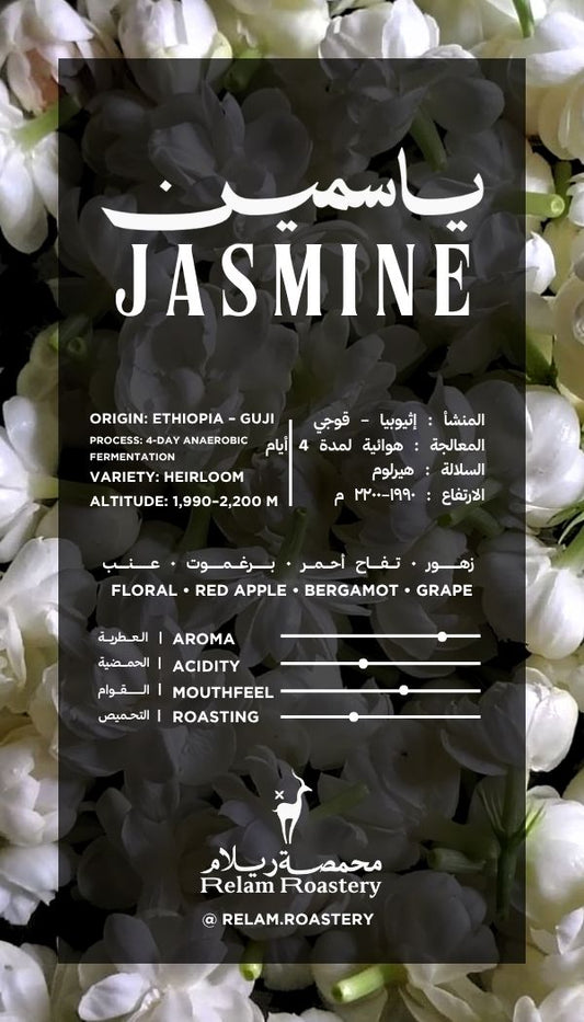 Jasmine | Ethiopia 🇪🇹
