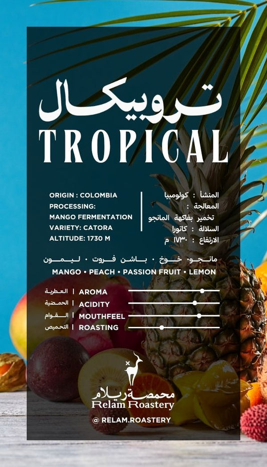 Tropical | Colombia 🇨🇴