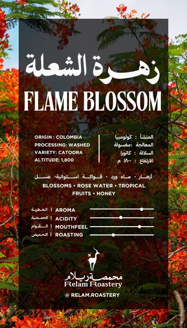 Flame Blossom | Colombia 🇨🇴